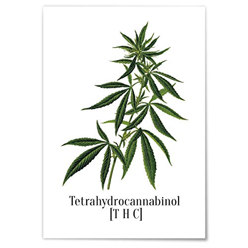 JUNIWORDS Poster mit/ohne Holzrahmen - Wähle ein Motiv - THC Tetrahydrocannabinol - Wähle eine Größe - 30 x 40 cm (M) ohne Rahmen von JUNIWORDS