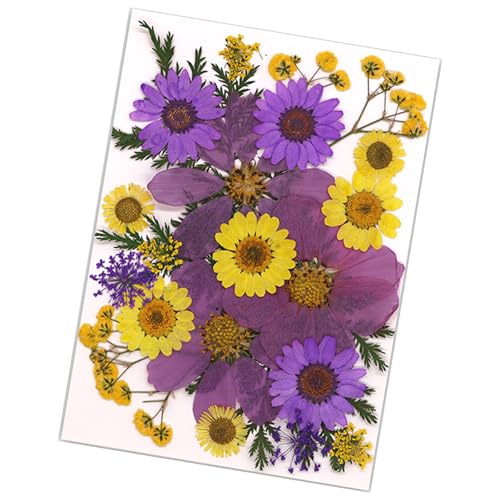 22pcs Pressed Blumenkunsthandwerksverzerrung Vorräte Für Handgefertigte Lesezeichen Kerzenschmuck Machen Scrapbooking von JUNNASALIKER