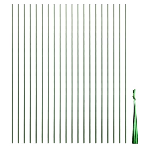 JUNNASALIKER 20pcs Pflanzenträgersystem Stabile Pflanzenstützstöcke Für Blumen Und Einfacher Installation Mit Grünen Einsätzen JUNNASALIKER 20pcs Pflanzenträgersystem Stabile Pflanzenstützstöcke Für Blumen Und Einfacher Installation Mit Grünen Einsätzen von JUNNASALIKER