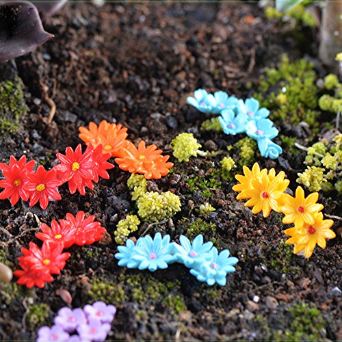 JUNNASALIKER Neue 10pcs Miniaturblume Bonsai Handwerk Gartenlandschaft von JUNNASALIKER