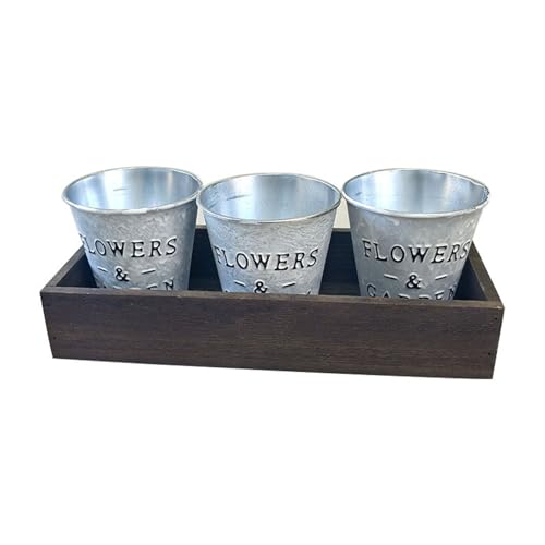 JUNNASALIKER Set Von 3 Dekorativen Pflanzentöpfen Kleine Blumentöpfe Eisen Pflanzer Für Innen Und Außenhaus Büro Tischtisch Dekore Verwenden JUNNASALIKER Set Von 3 Dekorativen Pflanzentöpfen Kleine Blumentöpfe Eisen Pflanzer Für Innen Und Außenhaus Büro Tischtisch Dekore Verwenden von JUNNASALIKER