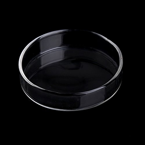 JUNNASALIKER Shrimp Feeder Dish Acrylboden Fütterungsschale Aquarium Fisch Für Panzerreptilien Runde Tablett Klare Lebensmittelschale 2 4 Zoll Wid JUNNASALIKER Shrimp Feeder Dish Acrylboden Fütterungsschale Aquarium Fisch Für Panzerreptilien Runde Tablett Klare Lebensmittelschale 2 4 Zoll Wid von JUNNASALIKER
