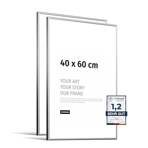 JUNOMI® 2 x Bilderrahmen 40x60 cm Aluminium | Farbe Silber (matt) | Wanddeko Metall mit bruchsicherem Acryl-Glas | Bilderrahmen Metall von JUNOMI