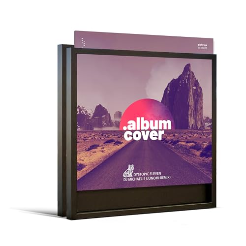 JUNOMI® 2 x Schallplatten Rahmen Schwarz | für LP Cover 30,4 – 31,3 cm | Vinyl Rahmen | Deko, Bilderrahmen, Wandrahmen von JUNOMI