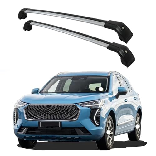 2 Stück Aluminium Dachträger Relingträger für Haval Jolion 2021+,Dachgepäckträger-Alu Relingträger,für Fahrradträger,Dachboxen Oder Als Skihalter,C von JUNYEW