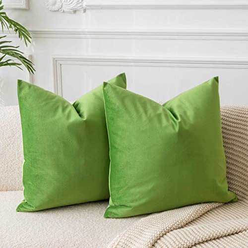 JUSPURBET Apfelgrün Samt-Kissenbezüge 65cmx65cm 2er-Set für Wohnzimmer Couch Sofa Schlafzimmer Dekorative Quadratische Feste Weiche Kissenhüllen mit unsichtbarem Reißverschluss von JUSPURBET