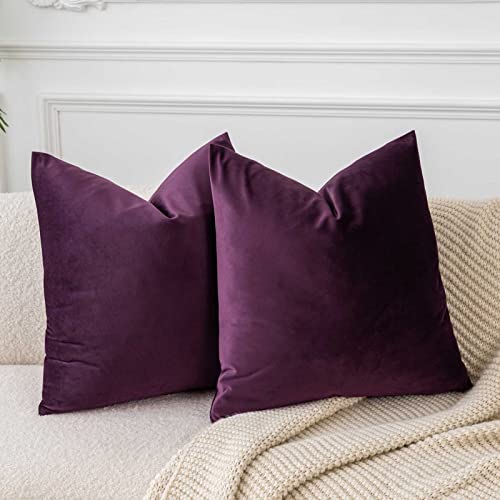 JUSPURBET Auberginenlila Samt-Kissenbezüge 45cmx45cm 2er-Set für Wohnzimmer Couch Sofa Schlafzimmer Dekorative Quadratische Feste Weiche Kissenhüllen mit unsichtbarem Reißverschluss von JUSPURBET