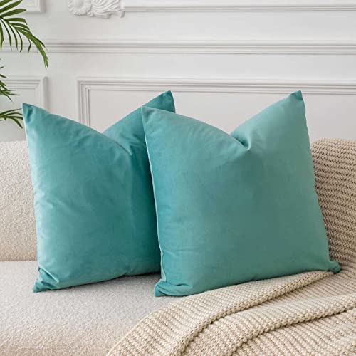 JUSPURBET Blaugrün Samt-Kissenbezüge 65cmx65cm 2er-Set für Wohnzimmer Couch Sofa Schlafzimmer Dekorative Quadratische Feste Weiche Kissenhüllen mit unsichtbarem Reißverschluss von JUSPURBET