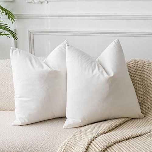 JUSPURBET Cremeweiß Samt-Kissenbezüge 50cmx50cm 2er-Set für Wohnzimmer Couch Sofa Schlafzimmer Dekorative Quadratische Feste Weiche Kissenhüllen mit unsichtbarem Reißverschluss von JUSPURBET