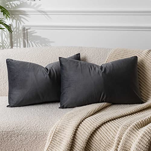 JUSPURBET Dunkelgrau Lendenkissen Samt-Kissenbezüge 40cmx60cm 2er-Set für Wohnzimmer Couch Sofa Schlafzimmer Dekorative Rechteckig Feste Weiche Kissenhüllen mit unsichtbarem Reißverschluss﻿ von JUSPURBET