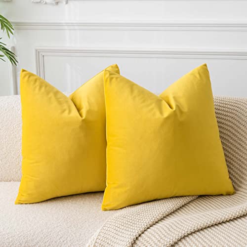 JUSPURBET Gelb Samt-Kissenbezüge 60cmx60cm 2er-Set für Wohnzimmer Couch Sofa Schlafzimmer Dekorative Quadratische Feste Weiche Kissenhüllen mit unsichtbarem Reißverschluss von JUSPURBET