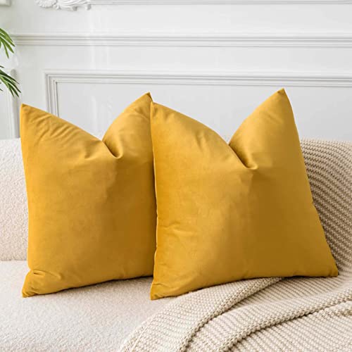 JUSPURBET Gold Samt-Kissenbezüge 50cmx50cm 2er-Set für Wohnzimmer Couch Sofa Schlafzimmer Dekorative Quadratische Feste Weiche Kissenhüllen mit unsichtbarem Reißverschluss JUSPURBET Gold Samt-Kissenbezüge 50cmx50cm 2er-Set für Wohnzimmer Couch Sofa Schlafzimmer Dekorative Quadratische Feste Weiche Kissenhüllen mit unsichtbarem Reißverschluss von JUSPURBET