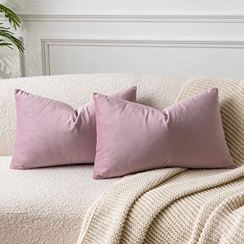 JUSPURBET Pink-Lila Lendenkissen Samt-Kissenbezüge 40cmx60cm 2er-Set für Wohnzimmer Couch Sofa Schlafzimmer Dekorative Rechteckig Feste Weiche Kissenhüllen mit unsichtbarem Reißverschluss﻿ von JUSPURBET