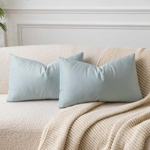JUSPURBET Puderblau Lendenkissen Samt-Kissenbezüge 30cmx50cm 2er-Set für Wohnzimmer Couch Sofa Schlafzimmer Dekorative Rechteckig Feste Weiche Kissenhüllen mit unsichtbarem Reißverschluss JUSPURBET Puderblau Lendenkissen Samt-Kissenbezüge 30cmx50cm 2er-Set für Wohnzimmer Couch Sofa Schlafzimmer Dekorative Rechteckig Feste Weiche Kissenhüllen mit unsichtbarem Reißverschluss von JUSPURBET