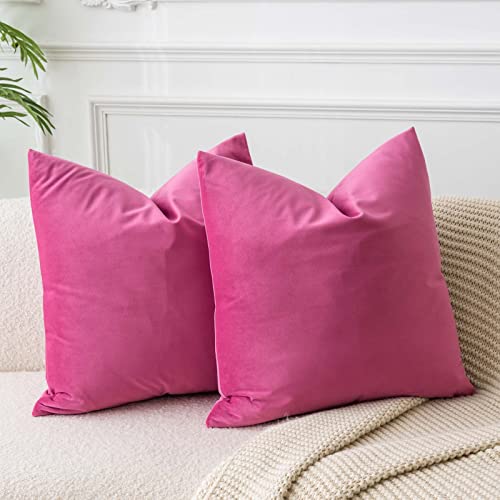 JUSPURBET Rosenrot Samt-Kissenbezüge 40cmx40cm 2er-Set für Wohnzimmer Couch Sofa Schlafzimmer Dekorative Quadratische Feste Weiche Kissenhüllen mit unsichtbarem Reißverschluss von JUSPURBET