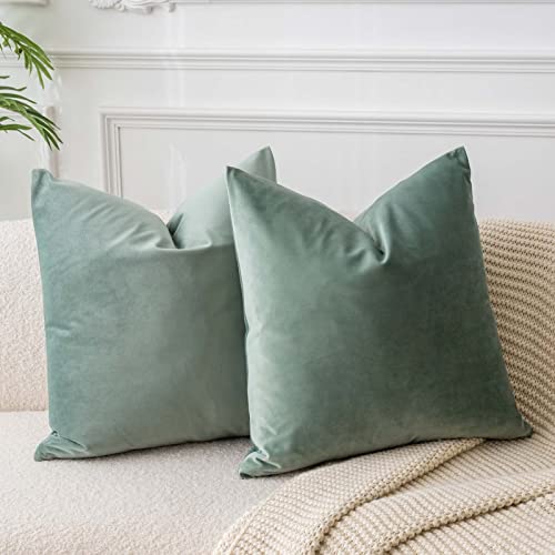 JUSPURBET Salbei Samt-Kissenbezüge 60cmx60cm 2er-Set für Wohnzimmer Couch Sofa Schlafzimmer Dekorative Quadratische Feste Weiche Kissenhüllen mit unsichtbarem Reißverschluss JUSPURBET Salbei Samt-Kissenbezüge 60cmx60cm 2er-Set für Wohnzimmer Couch Sofa Schlafzimmer Dekorative Quadratische Feste Weiche Kissenhüllen mit unsichtbarem Reißverschluss von JUSPURBET