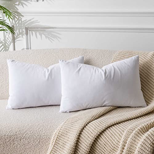 JUSPURBET Weiß Lendenkissen Samt-Kissenbezüge 40cmx60cm 2er-Set für Wohnzimmer Couch Sofa Schlafzimmer Dekorative Rechteckig Feste Weiche Kissenhüllen mit unsichtbarem Reißverschluss﻿ von JUSPURBET
