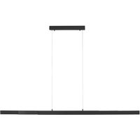 LED Pendelleuchte Anthrazit Metall 13 W 165 cm länglich von JUST LIGHT GmbH