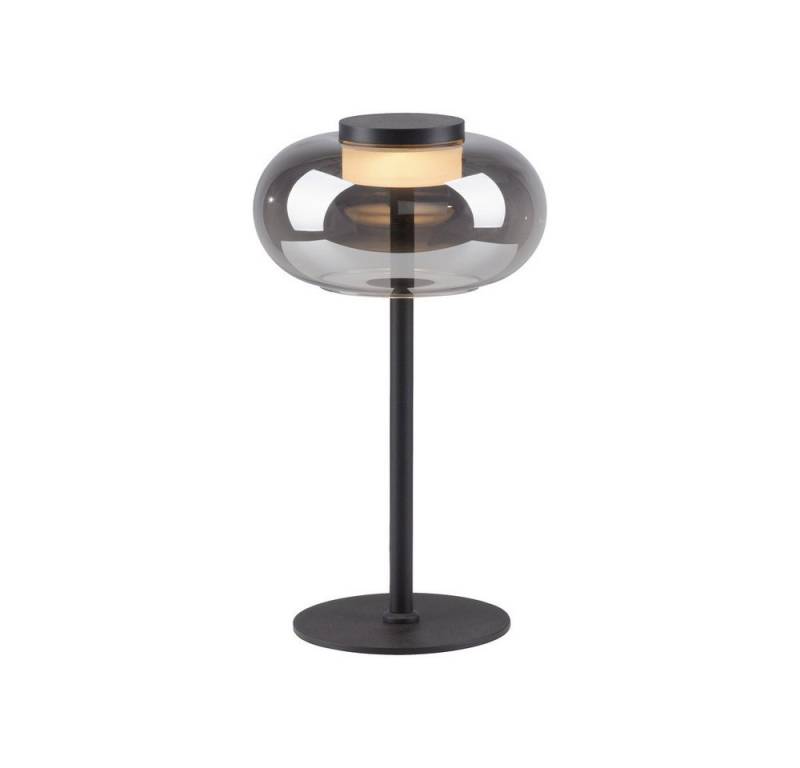 JUST LIGHT LED Tischleuchte LED Tischleuchte SIA-SW, 1x LED Board 7,5 Watt, warmweiß, Rauchglas Lichtfarbe warmweiß 33cm JUST LIGHT LED Tischleuchte LED Tischleuchte SIA-SW, 1x LED Board 7,5 Watt, warmweiß, Rauchglas Lichtfarbe warmweiß 33cm von JUST LIGHT