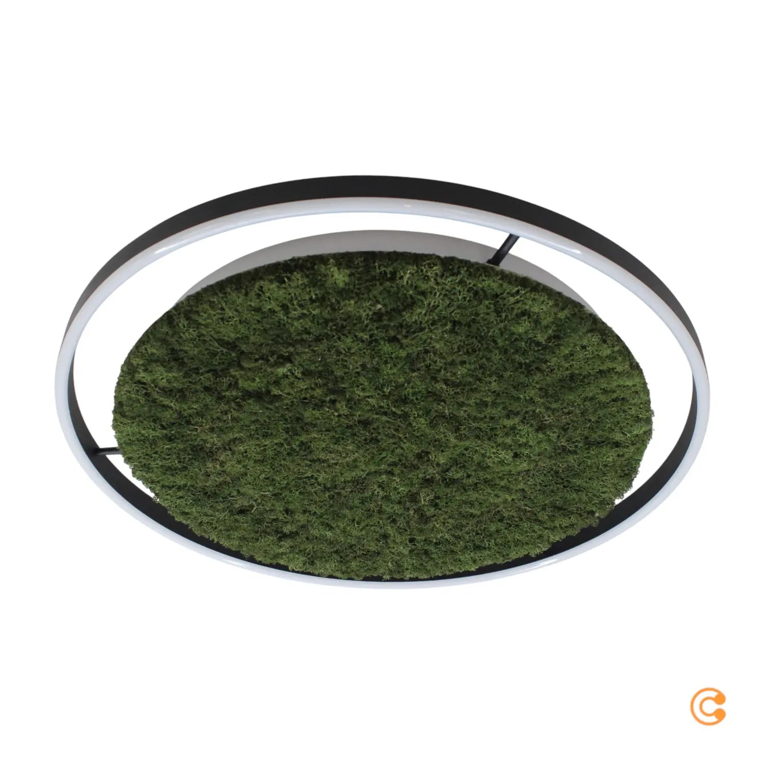 Just Light Led Deckenlampe Lampe Green Ritus Moos Dimmbar ø585cm B-Ware Just Light Led Deckenlampe Lampe Green Ritus Moos Dimmbar ø585cm B-Ware von JUST LIGHT.