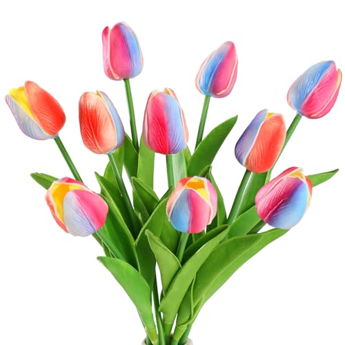JUSTOYOU 10 STK PU Real Touch Latex Künstliche Tulpen Gefälschte Tulpen Blumen Blumensträuße Blumen Arrangement für Home Room Hochzeitsstrauß Party Herzstück Dekor(Regenbogenfarbe) von JUSTOYOU