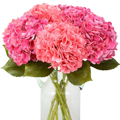 JUSTOYOU Künstliche Hortensien Blumen,4 PCS Doppelte Farbe Single Stem Realistische Hydrangea Blumen, 19.6Inch große Real Touch gefälschte Hydrangea Sträuße für Hochzeit Home Party (Tiefrosa,osarot) JUSTOYOU Künstliche Hortensien Blumen,4 PCS Doppelte Farbe Single Stem Realistische Hydrangea Blumen, 19.6Inch große Real Touch gefälschte Hydrangea Sträuße für Hochzeit Home Party (Tiefrosa,osarot) von JUSTOYOU