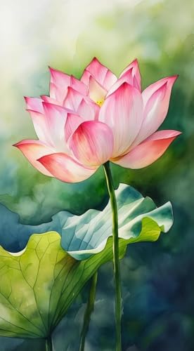 JUYIYUANFUZH Stickset Erwachsene Kreuzstich Stickpackungen Bilder 11CT Rosa Lotus 4 Kreuzstich Set FüR AnfäNger Basteln Erwachsene40×50Cm JUYIYUANFUZH Stickset Erwachsene Kreuzstich Stickpackungen Bilder 11CT Rosa Lotus 4 Kreuzstich Set FüR AnfäNger Basteln Erwachsene40×50Cm von JUYIYUANFUZH