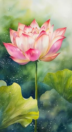 JUYIYUANFUZH Stickset Erwachsene Kreuzstich Stickpackungen Bilder 11CT Rosa Lotus 5 Kreuzstich Set FüR AnfäNger Basteln Erwachsene40×50Cm JUYIYUANFUZH Stickset Erwachsene Kreuzstich Stickpackungen Bilder 11CT Rosa Lotus 5 Kreuzstich Set FüR AnfäNger Basteln Erwachsene40×50Cm von JUYIYUANFUZH