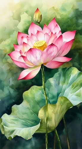 JUYIYUANFUZH Stickset Erwachsene Kreuzstich Stickpackungen Bilder 11CT Rosa Lotus 6 Kreuzstich Set FüR AnfäNger Basteln Erwachsene40×50Cm JUYIYUANFUZH Stickset Erwachsene Kreuzstich Stickpackungen Bilder 11CT Rosa Lotus 6 Kreuzstich Set FüR AnfäNger Basteln Erwachsene40×50Cm von JUYIYUANFUZH