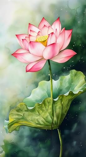 JUYIYUANFUZH Stickset Erwachsene Kreuzstich Stickpackungen Bilder 11CT Rosa Lotus 7 Kreuzstich Set FüR AnfäNger Basteln Erwachsene40×50Cm JUYIYUANFUZH Stickset Erwachsene Kreuzstich Stickpackungen Bilder 11CT Rosa Lotus 7 Kreuzstich Set FüR AnfäNger Basteln Erwachsene40×50Cm von JUYIYUANFUZH
