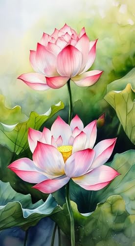 JUYIYUANFUZH Stickset Erwachsene Kreuzstich Stickpackungen Bilder 11CT Rosa Lotus 9 Kreuzstich Set FüR AnfäNger Basteln Erwachsene40×50Cm JUYIYUANFUZH Stickset Erwachsene Kreuzstich Stickpackungen Bilder 11CT Rosa Lotus 9 Kreuzstich Set FüR AnfäNger Basteln Erwachsene40×50Cm von JUYIYUANFUZH