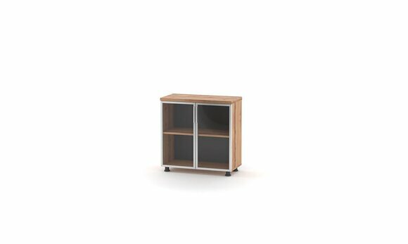 Aktenschrank mit Glastüren Braun Einfarbig Einlegenboden Arbeitszimmer von JV Moebel