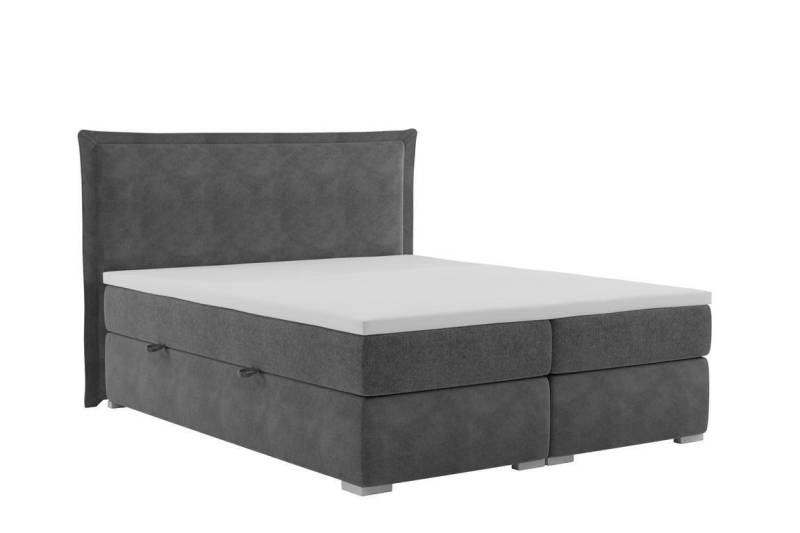 Bett Schlafzimmer Doppelbett Luxus Modern Möbel Designer Polster Boxspringbett von JV Möbel