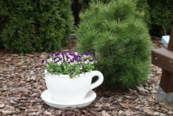 Blumenkübel Pflanz Kübel Dekoration Figur Blumentöpfe Garten Vasen von JV Möbel