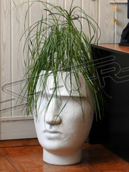 Design Blumentopf Top Planz Kübel Gefäß Töpfe Figur Gesicht Skulptur von JV Möbel