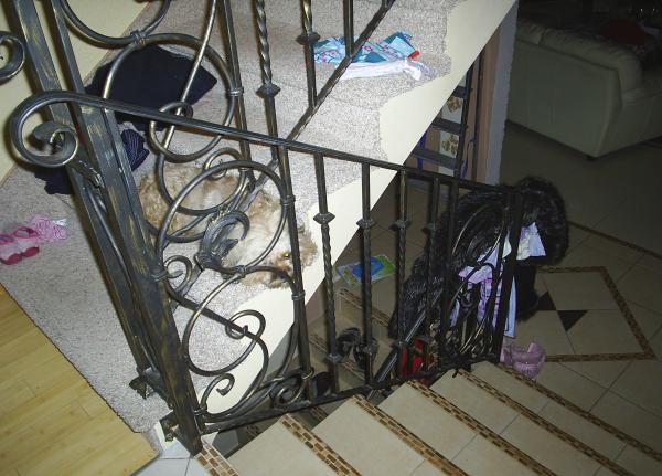 Klassische Geländer Handgefertigte Balkon Treppen Schmiedezaun Zaun 1lfm #177 von JV Möbel