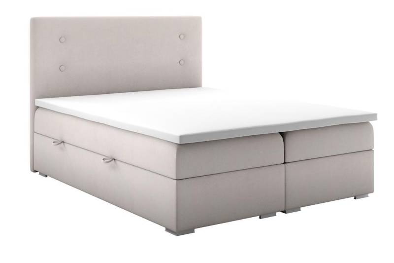 Schlafzimmer Bett Polster Modern Design Luxus Doppelbett Beige Boxspringbett von JV Möbel