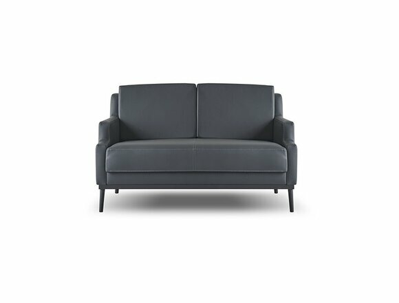 Sofa 2-Sitzer Dunkelgrau Einfarbig Modern Stil Design Arbeitszimmer von JV Moebel