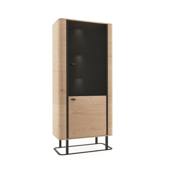 Vitrine Aktenschrank Schrank Vitrinen Büro Wohnzimmer Hochschrank Regal von JV Möbel