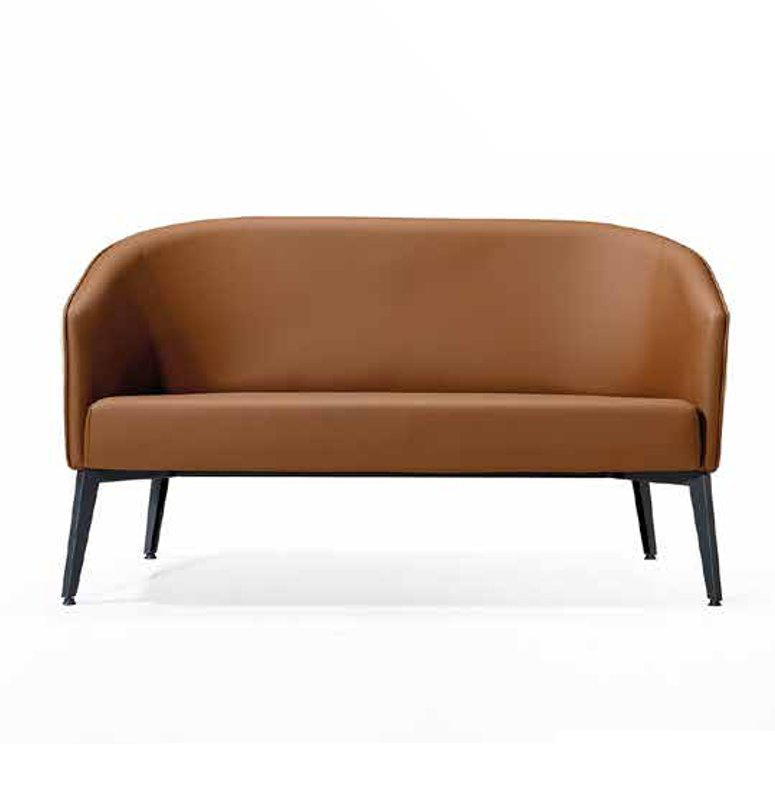 Wartezimmer Möbel Design-Sofa Lounge Möbel Leder Sofa 2 sitzer Zweisitzer Braun von JV Möbel