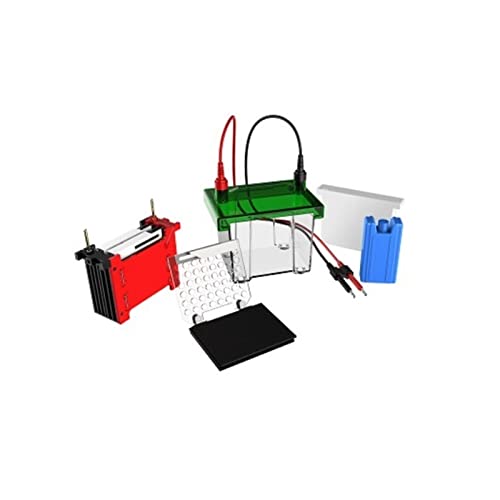 Elektrophoresegerät Mini-Transfer-Elektrophoresebehälter HT-ZY02 Protein-Transfer-Elektrophoresebehälter-Transfermembran-Gel-Blot-Transfer von JVDDI