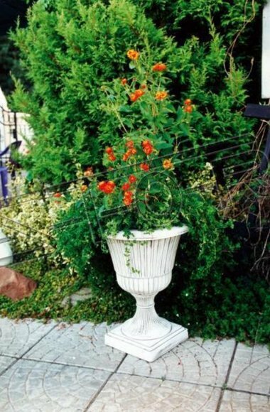 Blumenkübel Pflanz Kübel Dekoration Figur Blumentöpfe Garten Vasen Blumenkübel Pflanz Kübel Dekoration Figur Blumentöpfe Garten Vasen von JVmoebel