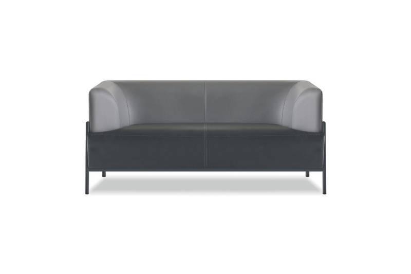 JVmoebel 2-Sitzer Luxuriöser Zweisitzer Designer Arbeitszimmer Leder 2-Sitzer Sitzmöbel, Made in Europa von JVmoebel