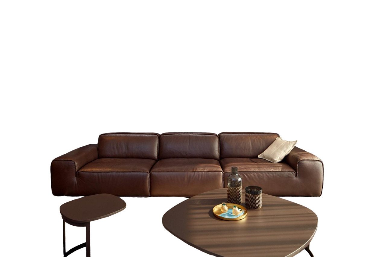 JVmoebel 4-Sitzer Großes 4-Sitzer-Sofa Wohnzimmer in Braun mit Weichen Kissen, 1 Teile, Made in Europa von JVmoebel
