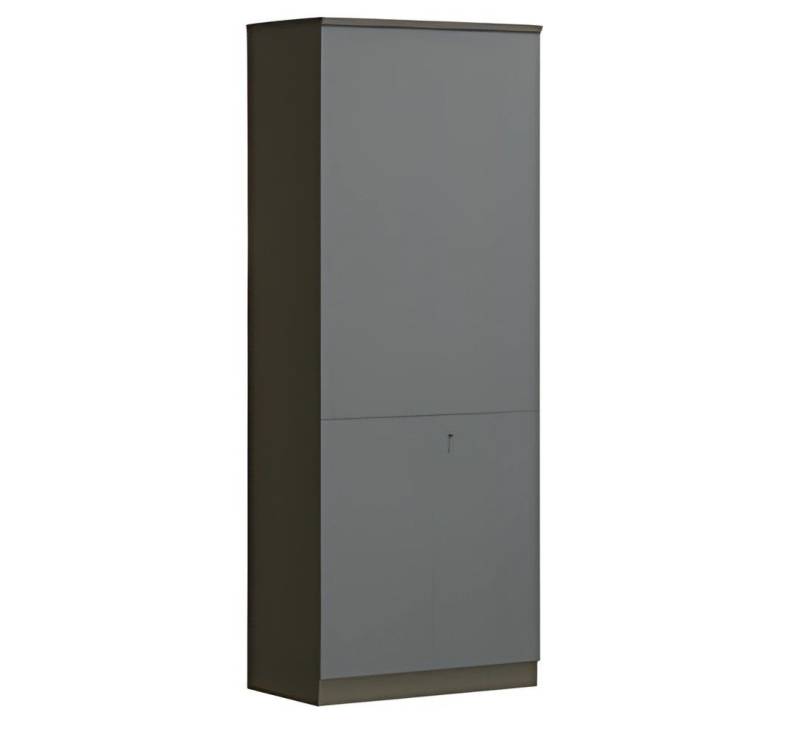 JVmoebel Aktenschrank Moderner grauer Büroschrank Aktenschrank mit abschließbaren Türen Made in Europe JVmoebel Aktenschrank Moderner grauer Büroschrank Aktenschrank mit abschließbaren Türen Made in Europe von JVmoebel