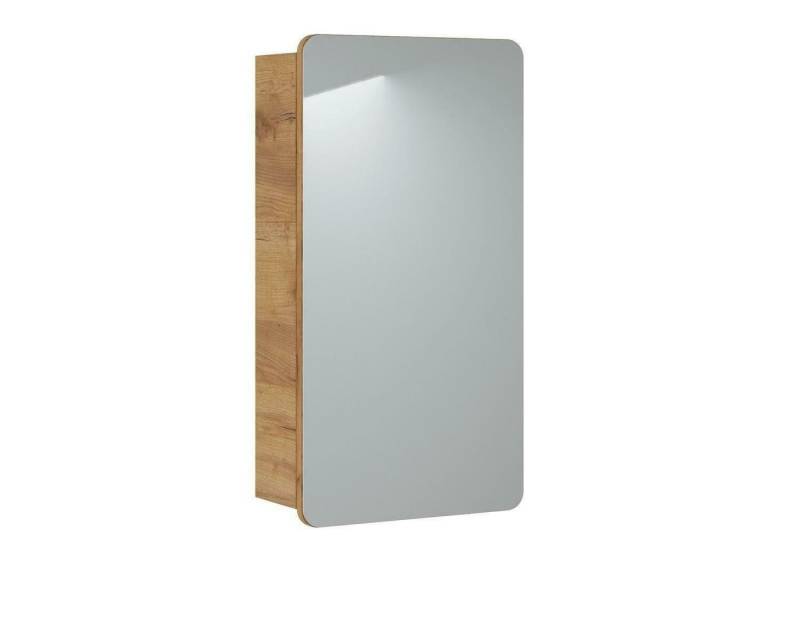 JVmoebel Badezimmerspiegelschrank Badspiegel Spiegelschrank Badezimmerspiegel Hängespiegel Made in Europa von JVmoebel
