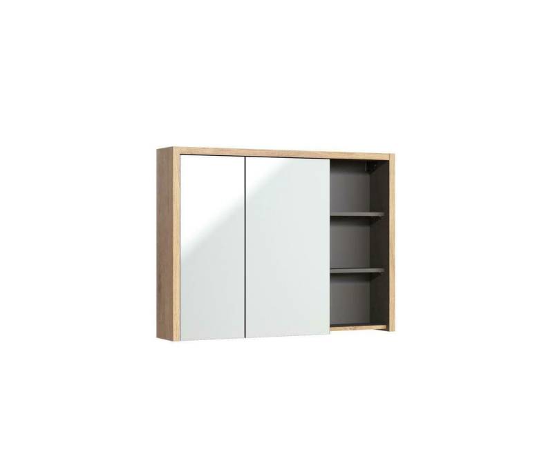 JVmoebel Badezimmerspiegelschrank Badspiegel Spiegelschrank Badezimmerspiegel Hängespiegel Made in Europa von JVmoebel