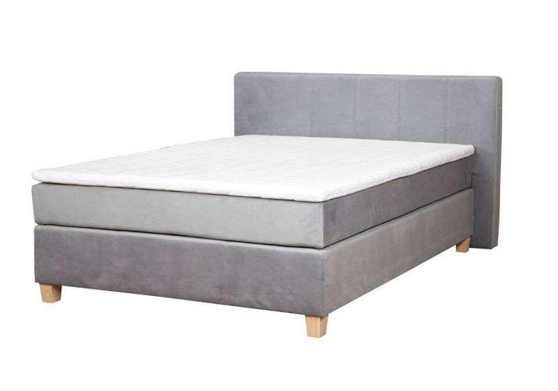 JVmoebel Bett, Boxspring Bett Kasten Funktion Hotel Doppel Matratze Betten von JVmoebel