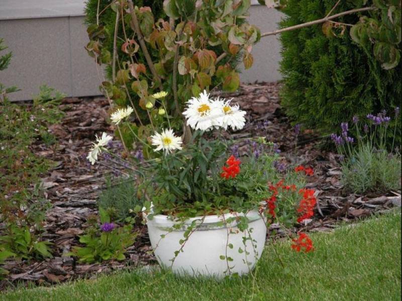 JVmoebel Pflanzkübel Blumenkorb Blumen Vase Gefäss Garten Terrasse Dekoration Figur, Made in Europa JVmoebel Pflanzkübel Blumenkorb Blumen Vase Gefäss Garten Terrasse Dekoration Figur, Made in Europa von JVmoebel