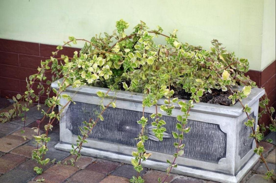 JVmoebel Blumenkasten Blumenkübel Pflanz Kübel Figur Blumentöpfe Garten Vasen Gefäss, Made in Europa JVmoebel Blumenkasten Blumenkübel Pflanz Kübel Figur Blumentöpfe Garten Vasen Gefäss, Made in Europa von JVmoebel